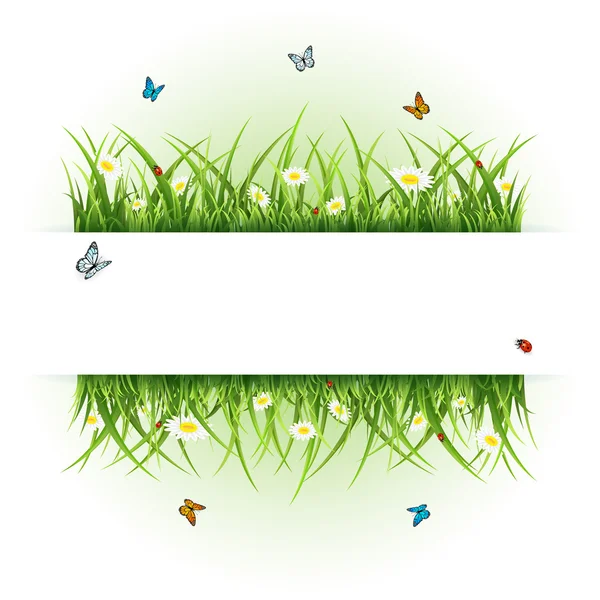 Background with butterflies and ladybugs — Stock Vector