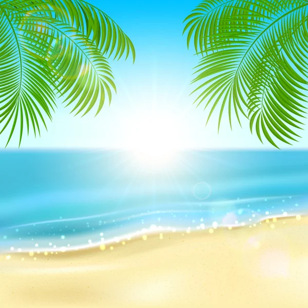 Palms on the beach — Stock Vector