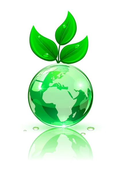 Earth with green leaves — Stock Vector