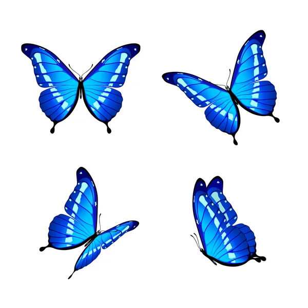 Blaue Schmetterlinge — Stockvektor