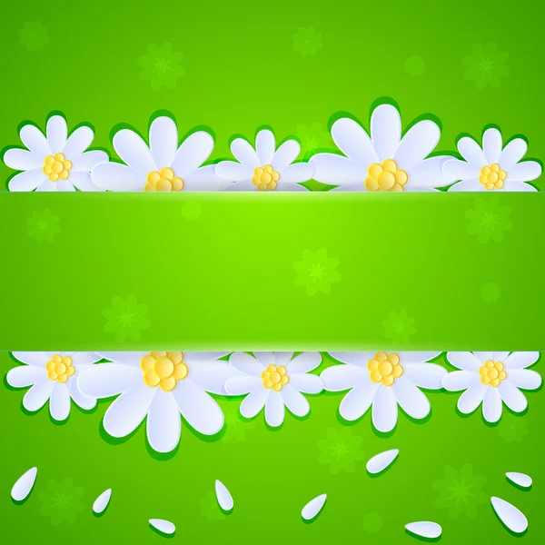 Daisies on green background — Stock Vector