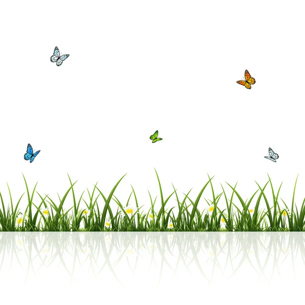 Papillons et herbe — Image vectorielle