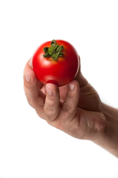 Perfekte Tomate mit grünen bis — Stockfoto