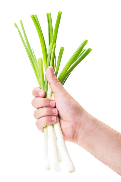 Fresh green spring onion — Stock Photo, Image