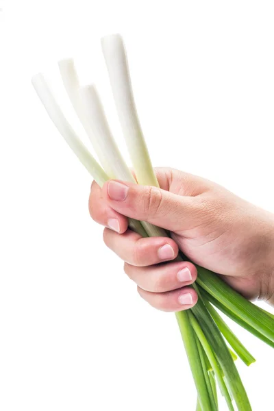 Hand som håller ett gäng vårlök — Stockfoto