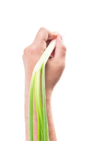 Hand holding a green spring onion isolated on white backgroun — Stock Photo, Image