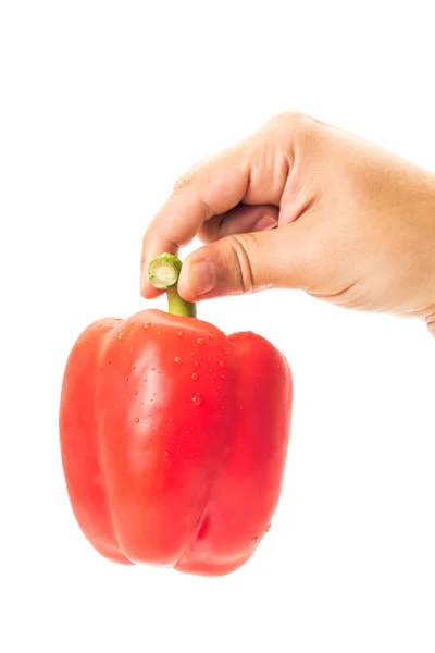 Hand holding a red pepper with water drop — Stock Photo, Image