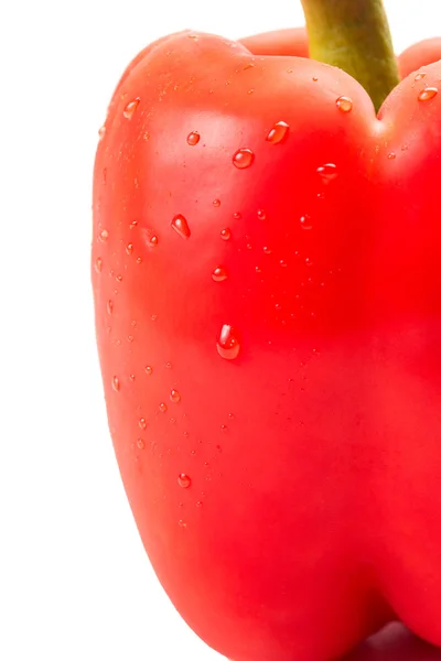 Close-up de uma pimenta vermelha com gota de água — Fotografia de Stock