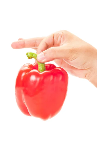 Hand holding a red pepper by the tai — Stock Photo, Image