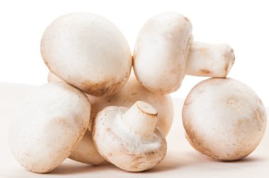 closeup champignon mantar demet