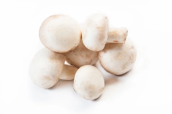 Group of champignon mushrooms isolated on whit — Stock Photo, Image