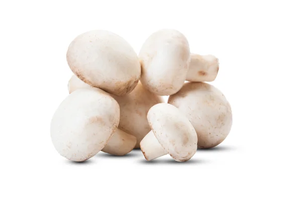 Bunch of champignon mushroom — Stock Photo, Image