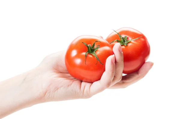 Mão feminina segurando dois tomates no backgroun branco — Fotografia de Stock