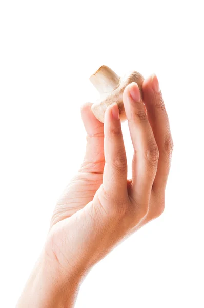 Female hand holding a mushroom between finger — Stock Photo, Image