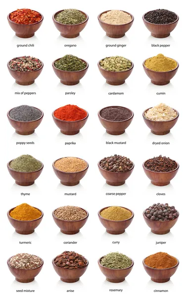 Different spices isolated on white background. Large Image — Stock Photo, Image