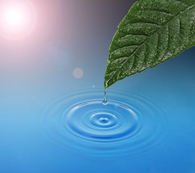 Green leaf with water drop falling. Blue waves clipart