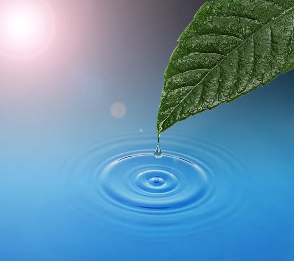 Grünes Blatt mit fallendem Wassertropfen. Blaue Wellen — Stockfoto