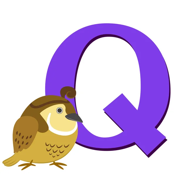 動物のアルファベット q — ストックベクタ