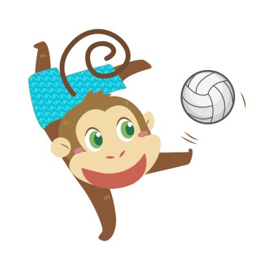 monkey plaj faaliyetleri