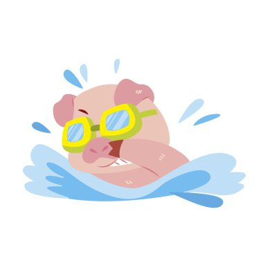 bir domuz plaj faaliyetleri