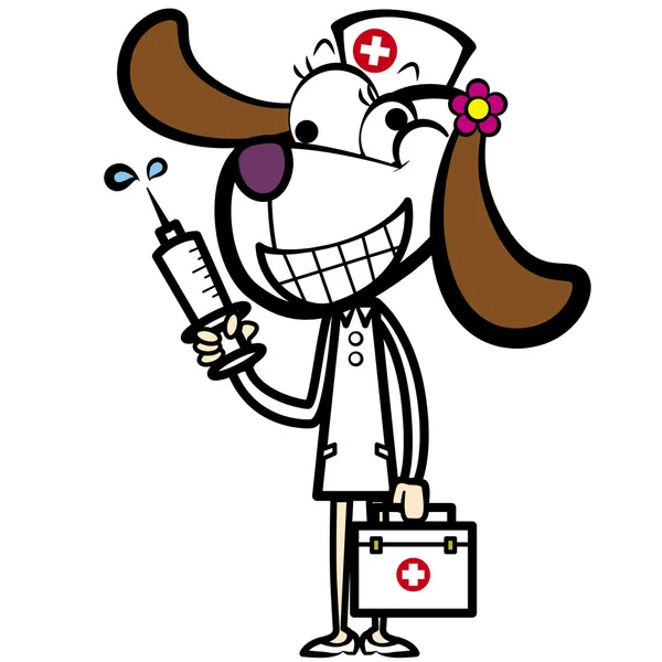 Cartoon hond verpleegster met EHBO-kit en spuit — Stockvector