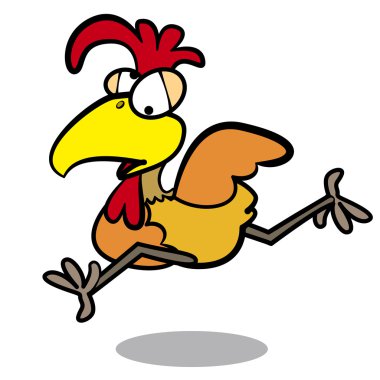 Beyaz arka plan ile çalışan mizah karikatür tavuk