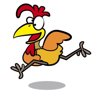 Beyaz arka plan ile çalışan mizah karikatür tavuk