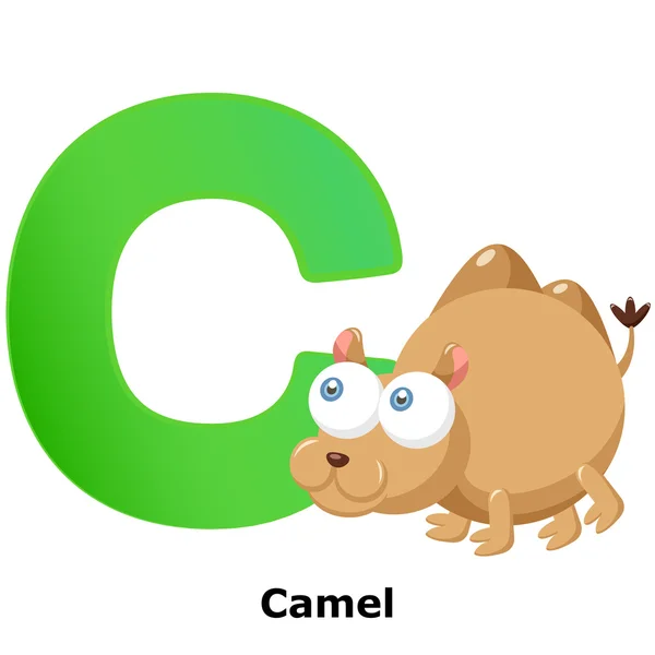 C zvířata abeceda — Stockový vektor