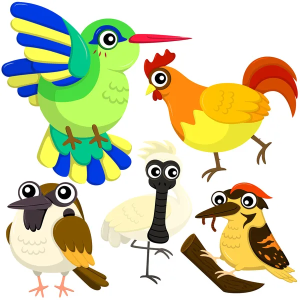 Cinque uccelli carini colorati con sfondo bianco — Vettoriale Stock