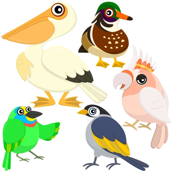 Cinco pájaros lindos coloridos con fondo blanco — Vector de stock