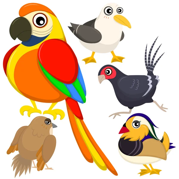 Cinco pássaros bonitos coloridos com fundo branco — Vetor de Stock