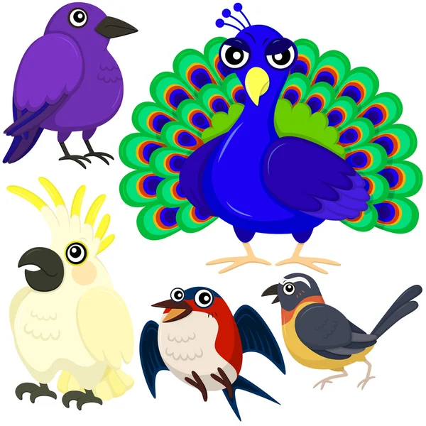 Cinq oiseaux mignons colorés avec fond blanc — Image vectorielle