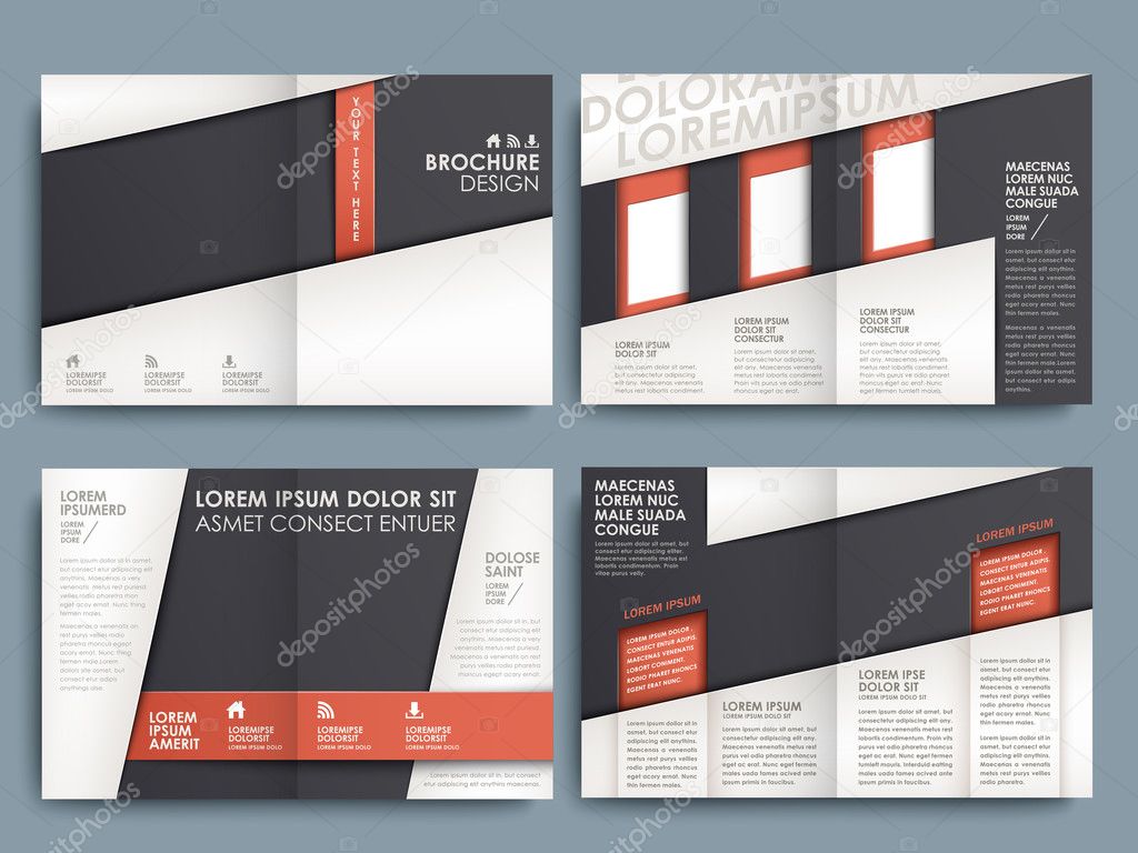 vector brochure layout design template