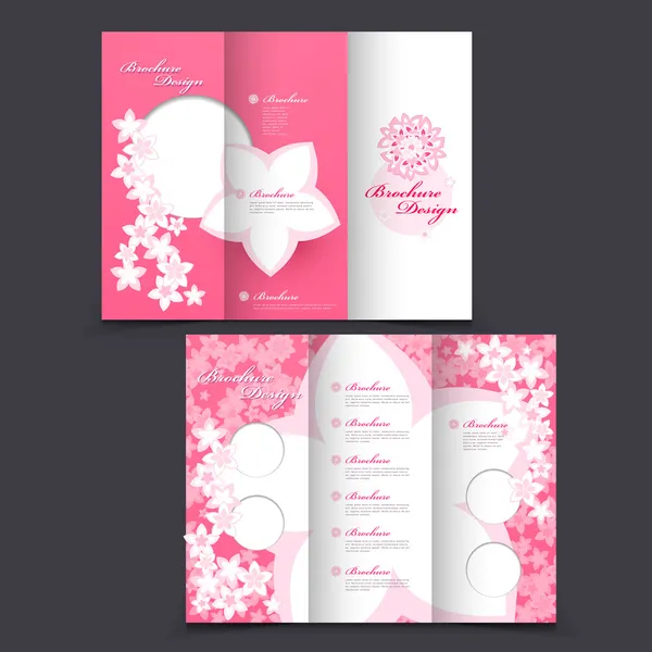 Vector brochure layout design template
