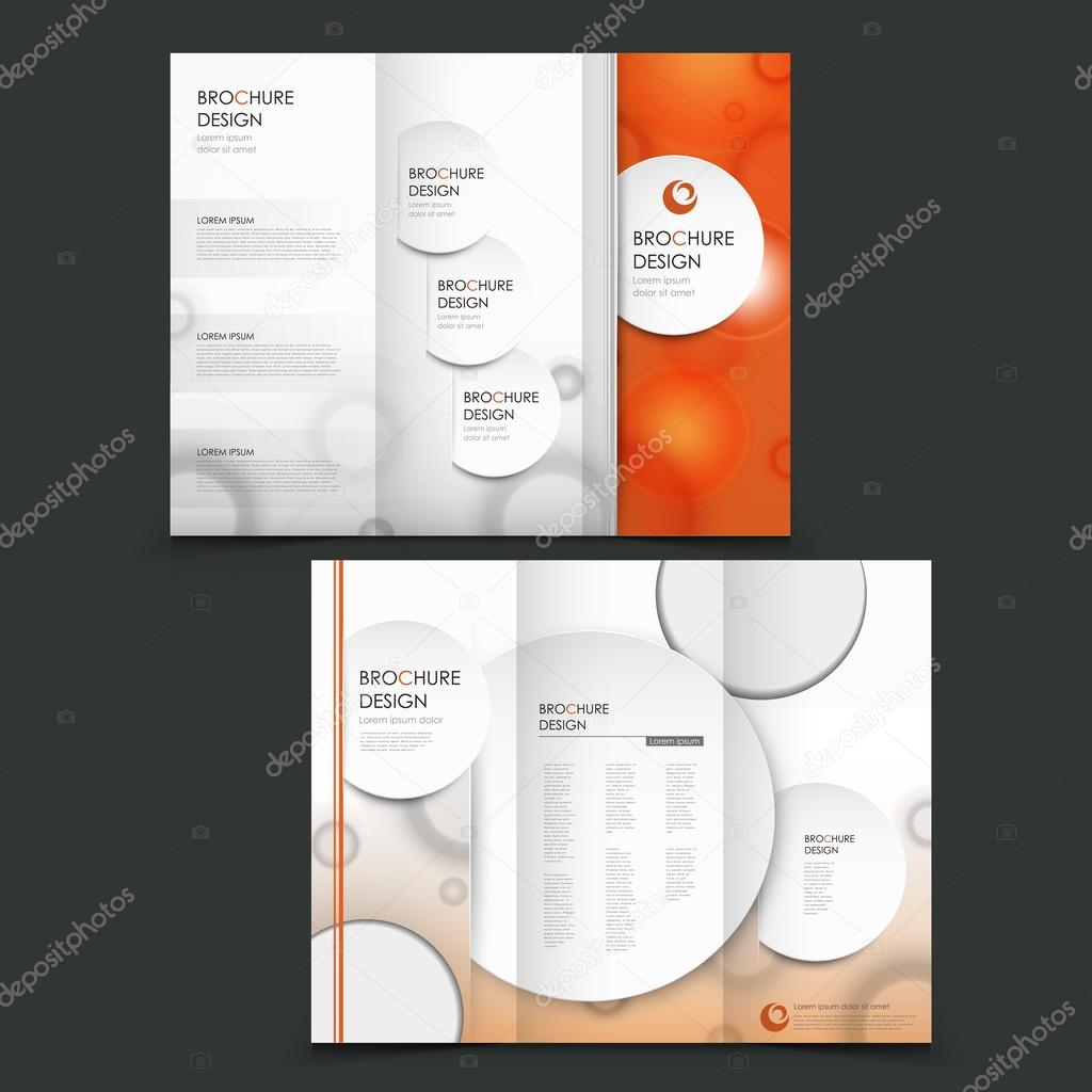 vector brochure layout design template 