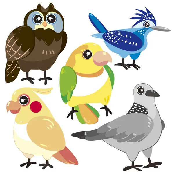 Cinco pájaros sobre fondo blanco — Vector de stock