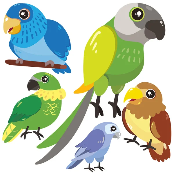 Cinco pájaros sobre fondo blanco — Vector de stock