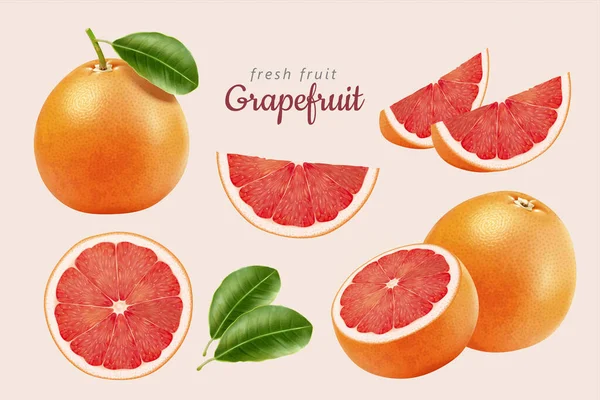 Illustratie Van Rode Grapefruits Helften Wiggen Met Zijn Bladeren Geïsoleerd — Stockvector