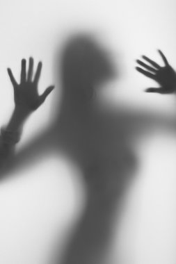 güzel ve seksi bir kadın silueti, uzun saçlı, yüzü, elleri