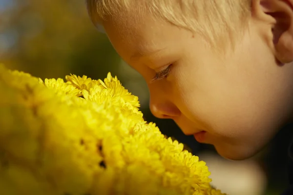 Menino bonito, flores amarelas — Fotografia de Stock