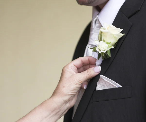 Wedding suit, groom wear — Stockfoto