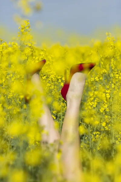 Gambe di donna che spuntano da un mazzo di fiori — Foto Stock