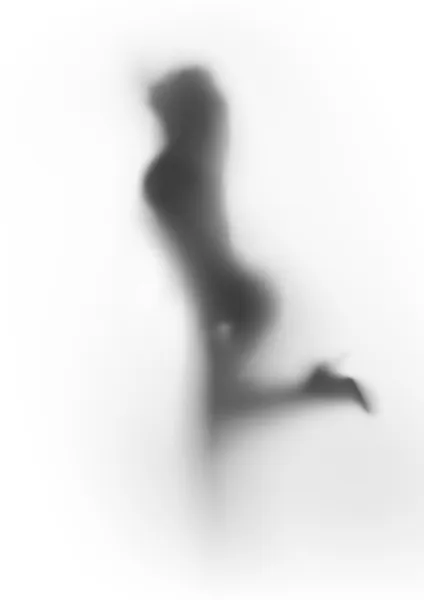 Силуэт танцовщицы — стоковое фото