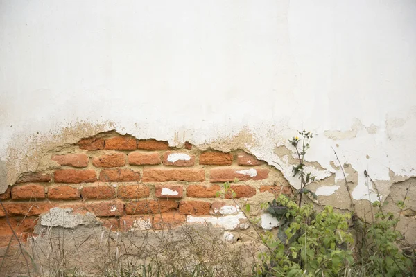 Muralla vieja y dañada —  Fotos de Stock