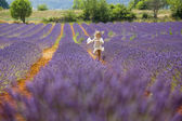 Mladá dívka běží a skoky v fialové oblasti levandule