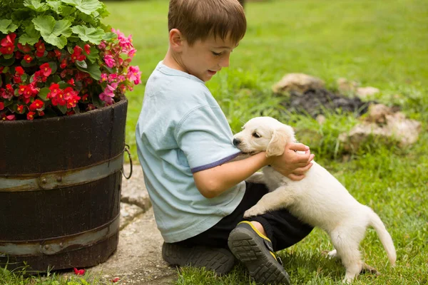緑の草と赤 ピンクの花に囲まれた庭で黄金のリトリーバー子犬と幸せな男の子の演劇 — ストック写真
