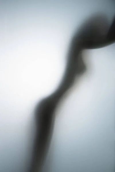 Силуэт Фигуры Сексуальной Женщины Сбоку Стеклянной Стеной Ванной Комнаты — стоковое фото