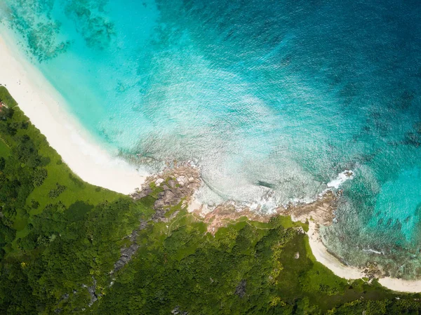 Bela Floresta Tropical Encontra Oceano Com Praia Coral Branco Rochas — Fotografia de Stock