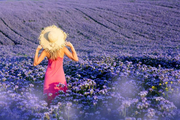 穿着粉色夏装 头戴太阳帽的漂亮女士 在草地中央享受着晚霞 四周环绕着紫色的花朵 — 图库照片