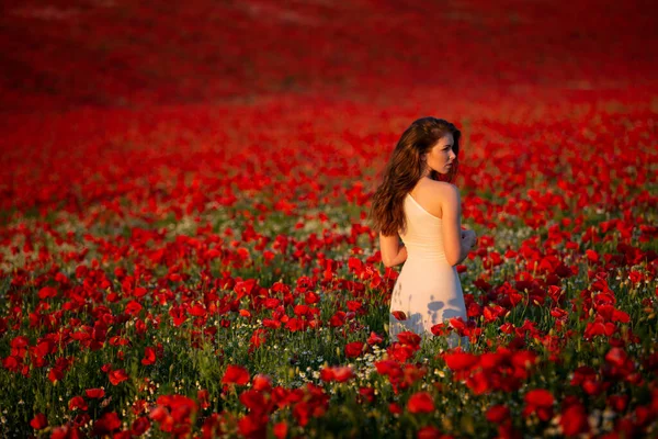 美丽而性感的长发黑发女人站在红艳丽的田野中央 身穿白衣 — 图库照片